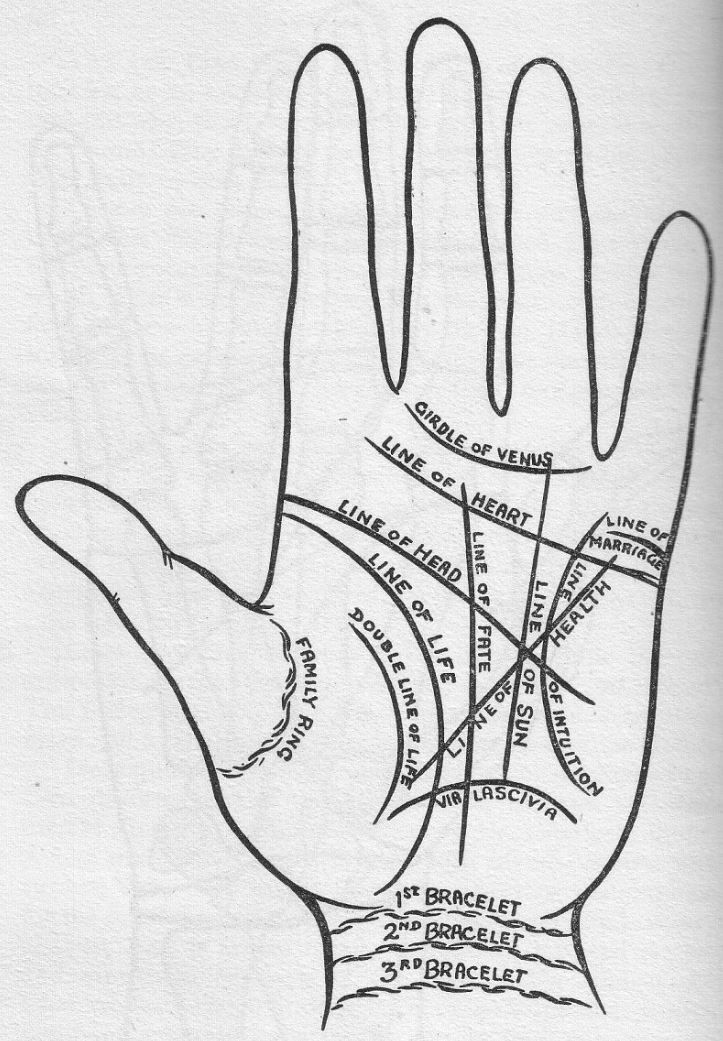 Palm Line Meanings